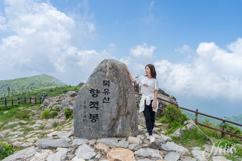 덕유산 케이블카 철쭉 향적봉 등산코스 무주 덕유산 곤도라