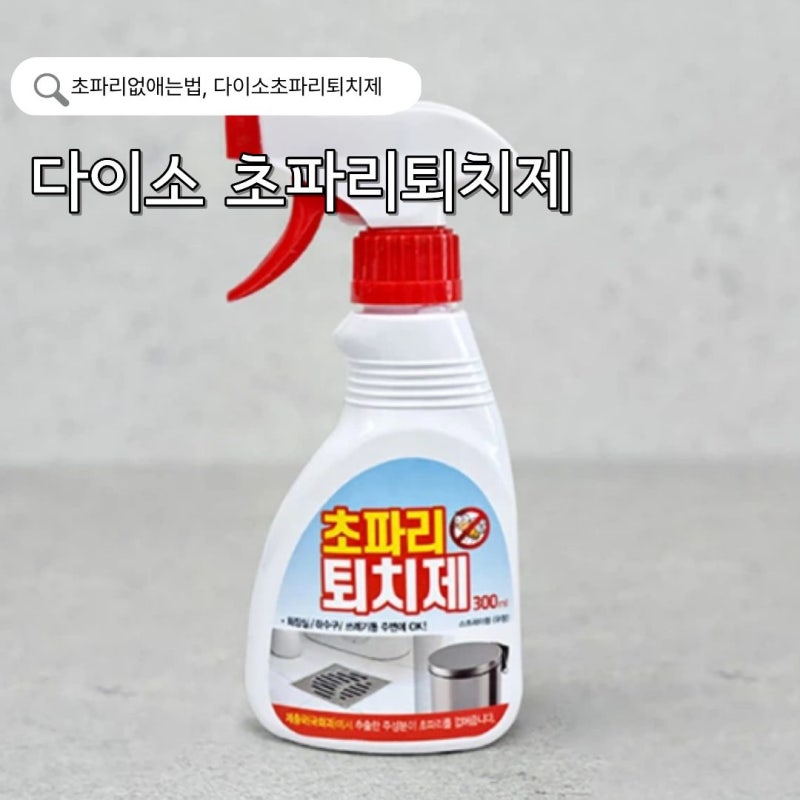 초파리 없애는법 다이소 3천원짜리 퇴치제 애드킬 스프레이 추천