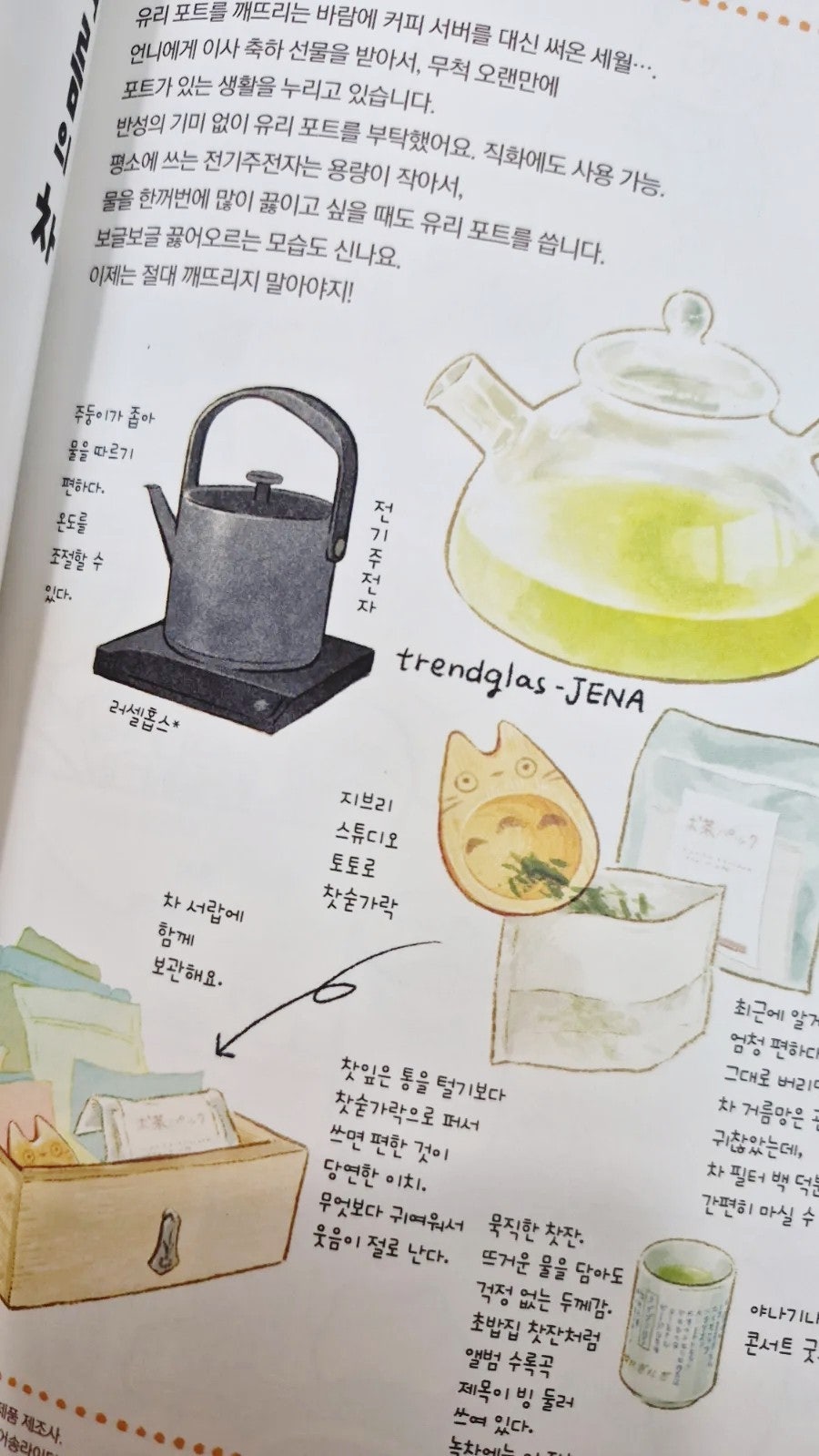 봄쏘 사진 6