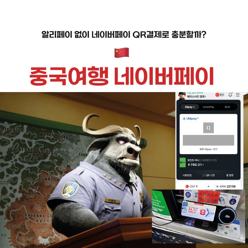 알리페이 앱 없이 네이버페이 중국 QR결제만으로 상하이 칭다오 여행 가능? 사용방법 할인 이....