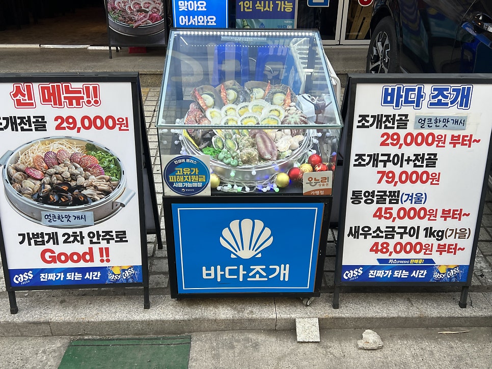 바다조개 사진 3