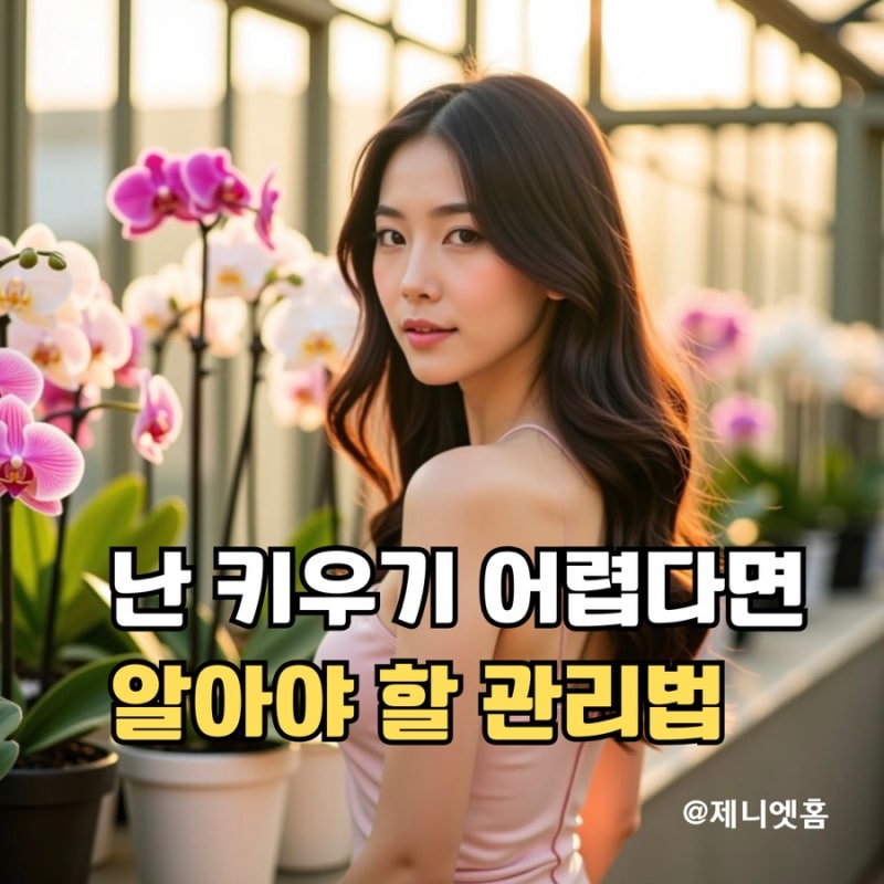 난 키우기 어렵다고요? 난 키우는 법 물주는 법 분갈이 방법