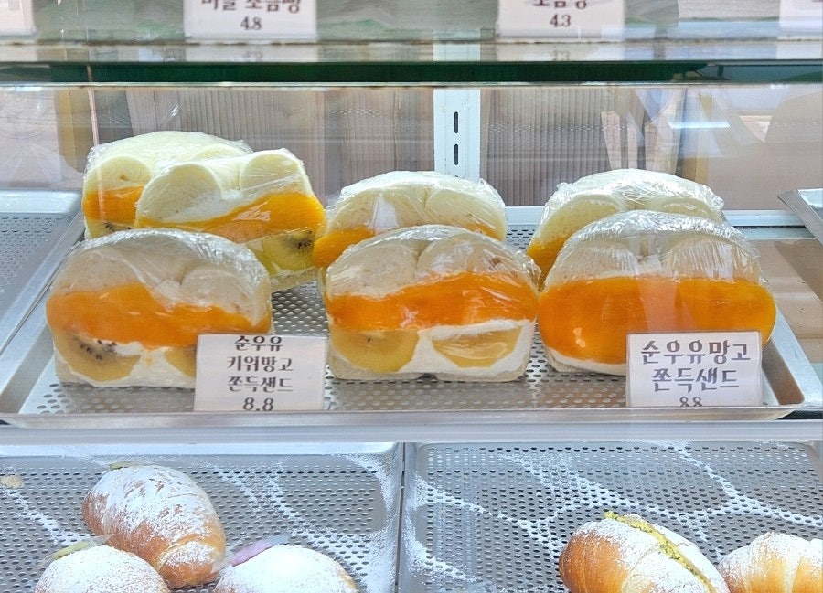 오늘의꾸움 사진 6