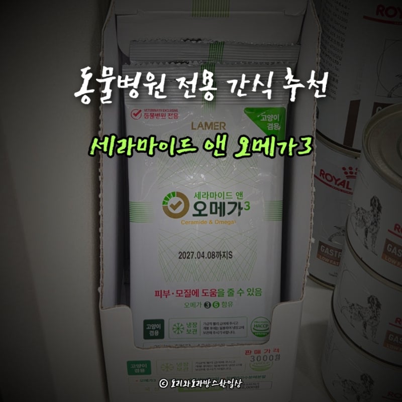 수의테크니션이 추천하는 동물병원 전용 간식 [라메르 세라마이드 앤 오메가3] 실제 급여 후....