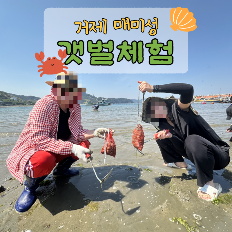 아이와 함께 가기 좋은 거제 매미성 갯벌체험 / 물때표, 예약방법, 준비물 꿀TIP 총정리!