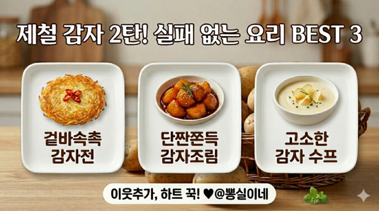  [제철 감자 2탄] 실패 없는 제철 감자 요리 레시피 BEST 3! 