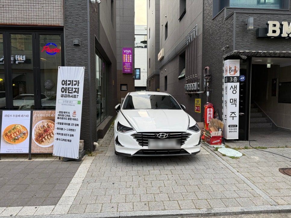 수컷웅 울산 사진 4