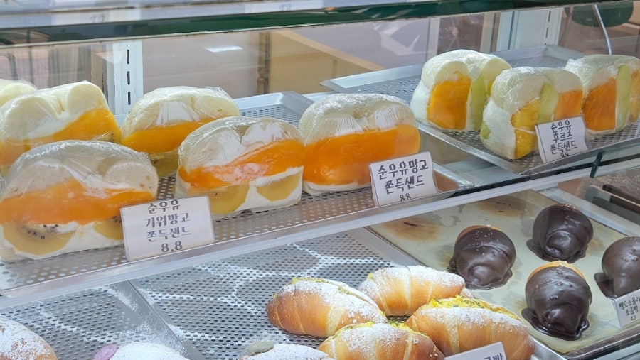 오늘의꾸움 사진 5