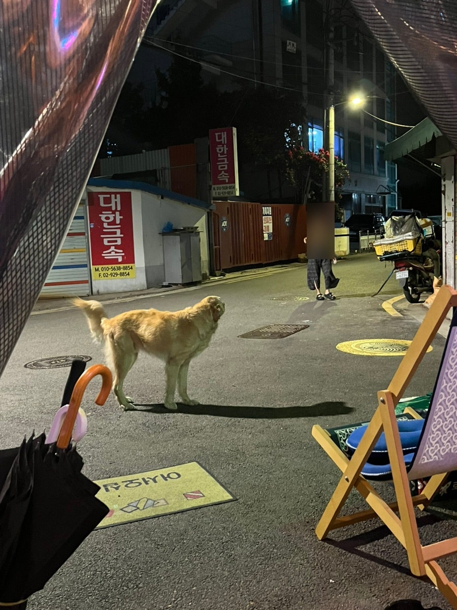 영훈공업사 잔울림 사진 5