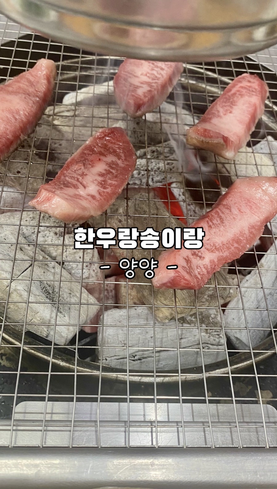 한우랑송이랑 사진 1