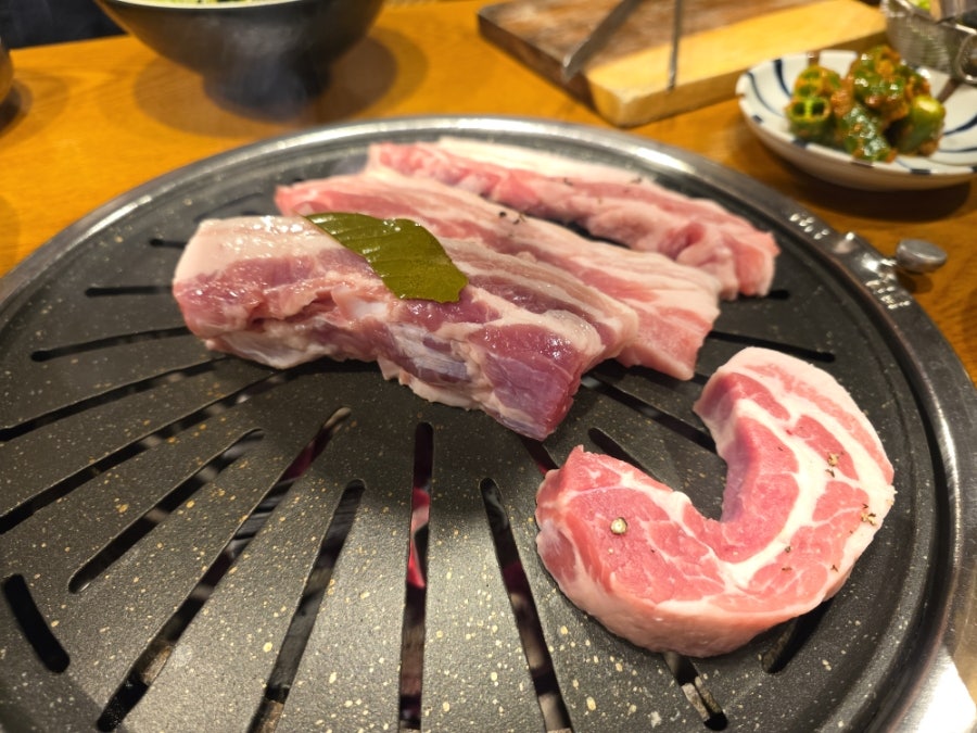 하얀돼지 사진 6