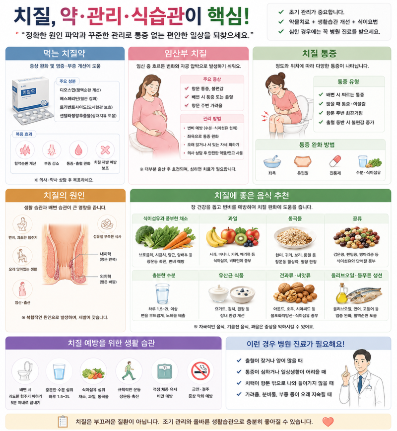 먹는 치질약 임산부치질 통증 원인 치질에좋은음식 추천