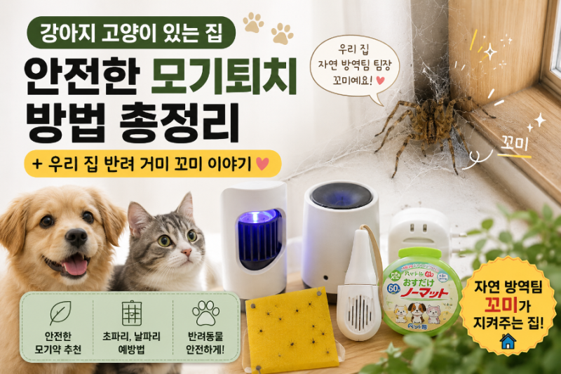 강아지 고양이 있는 집, 안전한 모기퇴치 방법 총정리 (+우리 집 반려 거미 꼬미 이야기)
