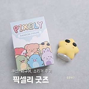 픽셀리 스토어 굿즈 내돈내산 구매후기 | 덕개쿠션 랜덤 피규어