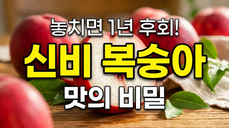 [6월 제철] 신비복숭아 뜻, 효능부터 일반 복숭아와의 차이점 총정리