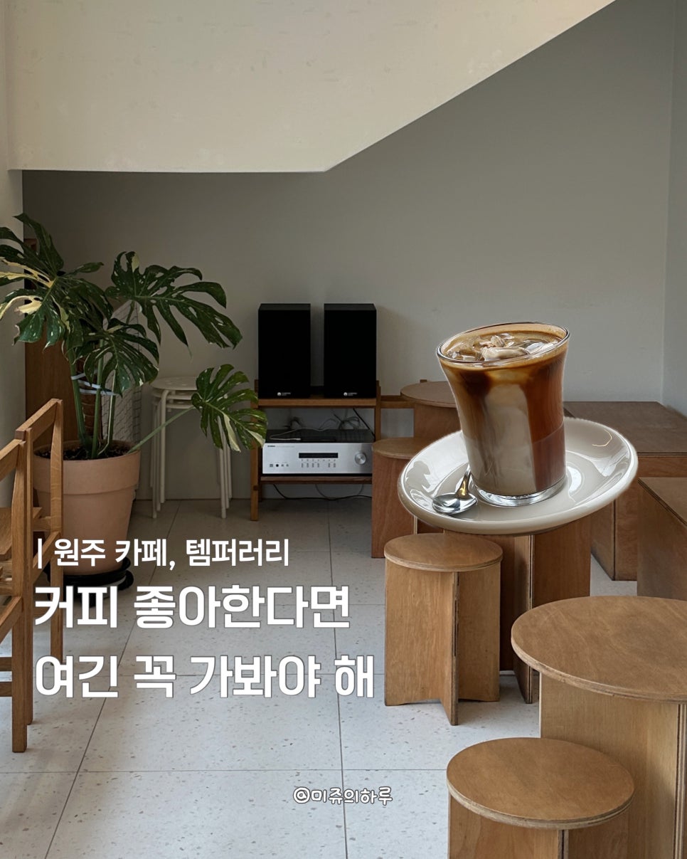 템퍼러리 사진 1