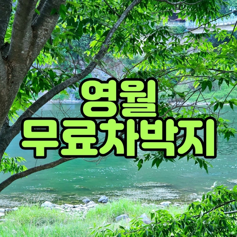 강원도 영월 무료차박지 고씨굴 동강변 주차장