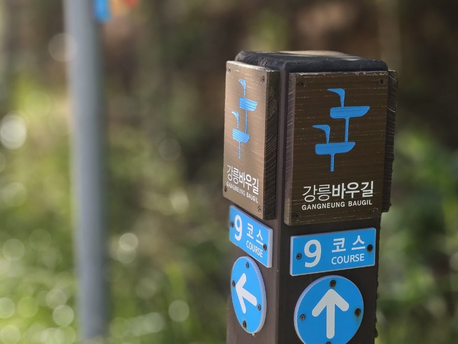 바우길 9구간(헌화로산책길) 사진 3