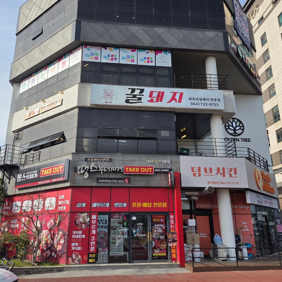 꿀돼지 사진 1