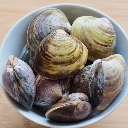 국산 백합조개 효능, 제철, 해감부터 파스타 요리까지 총정리