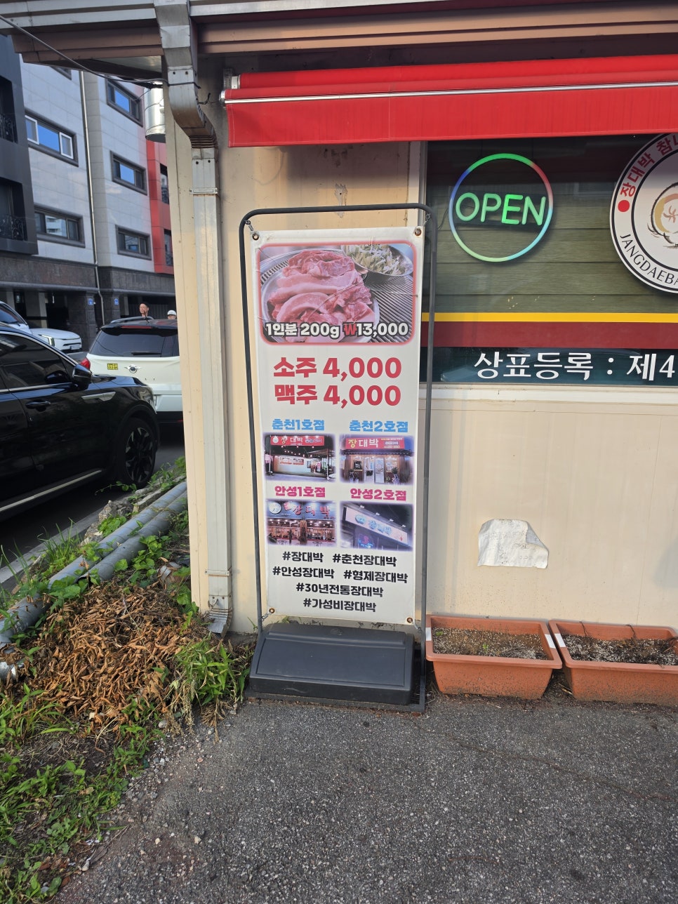 돼생이 사진 3