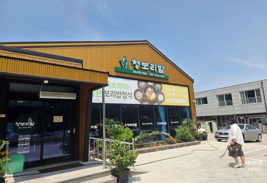 청보리밭 사진 2