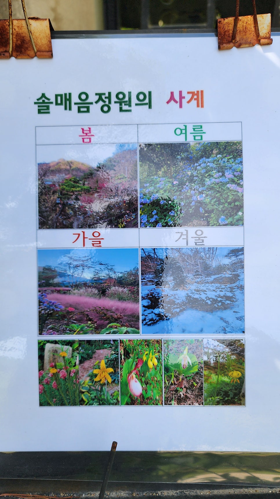 솔매음정원 사진 4
