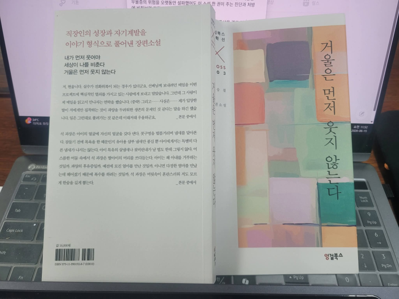 고기능 우울증 - "거울은 먼저 웃지 않는다"