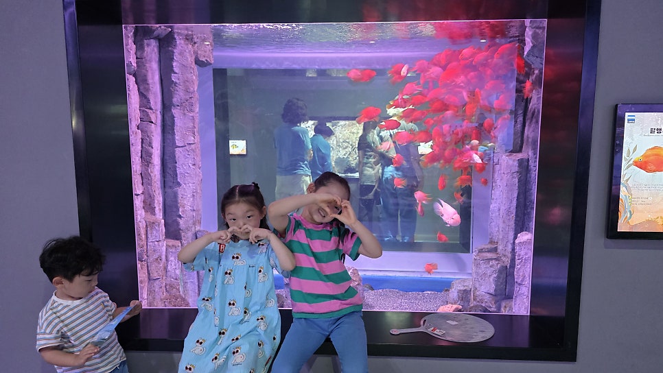 하비비캠핑장 사진 6