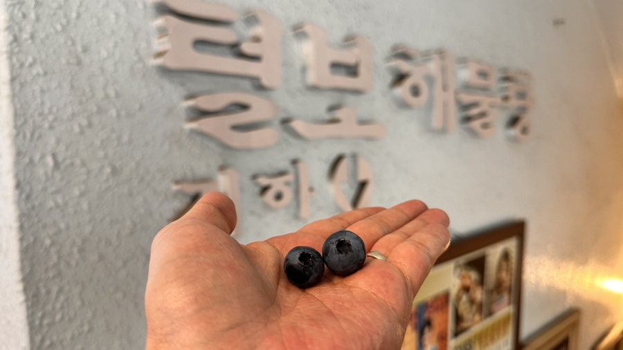 털보해물탕 사진 7