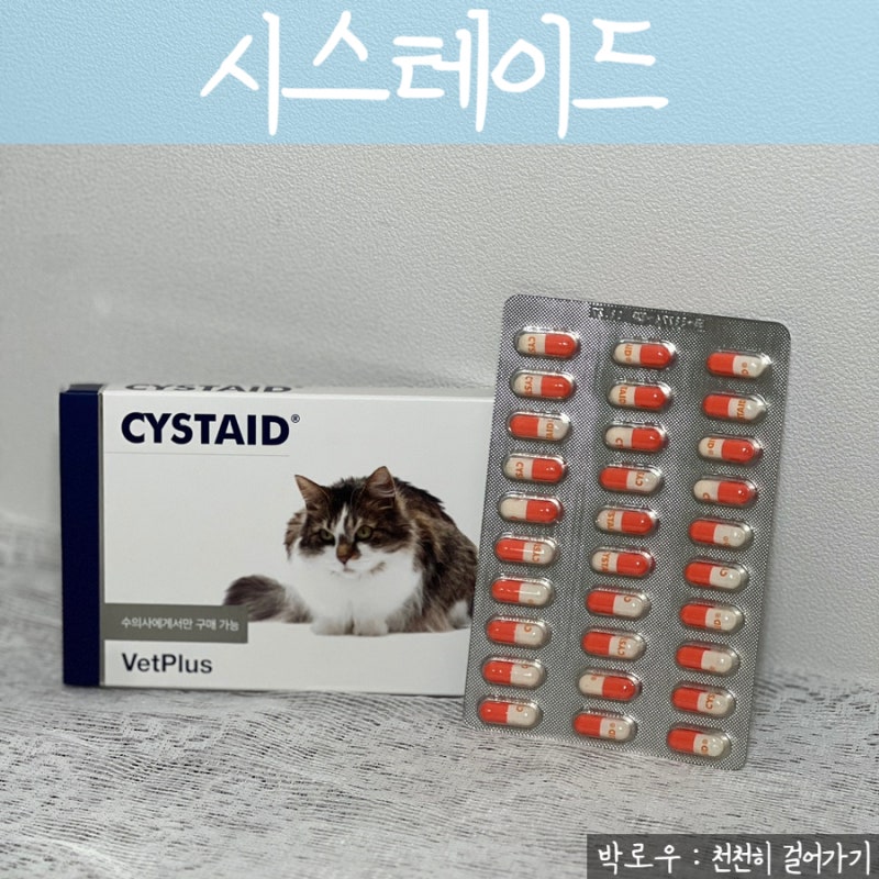 고양이신장보조제 벳플러스 시스테이드 솔직후기