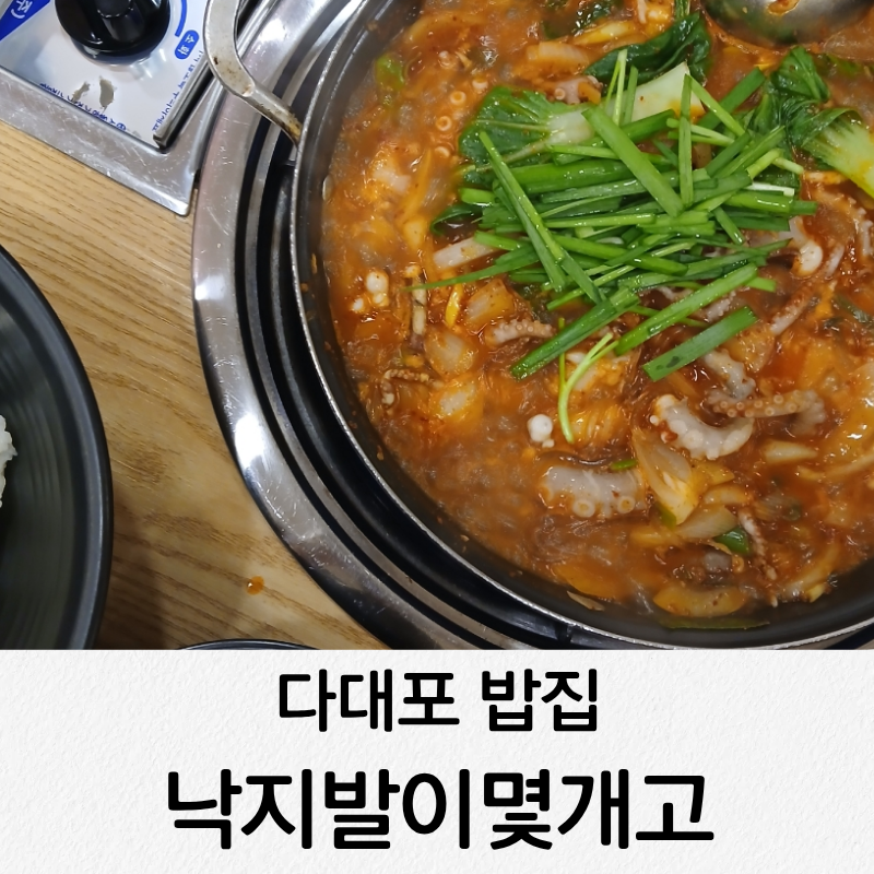 낙지발이 몇개고 사진 1