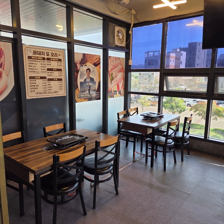 꿀돼지 사진 5