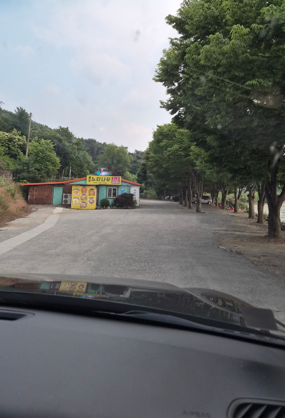 예당느티나무 사진 2