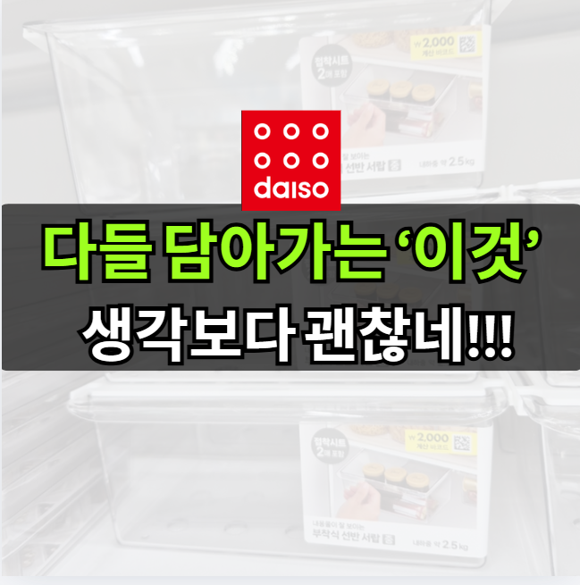 다이소 투명정리함 추천 다이소에서 은근히 많이 찾는 필수템
