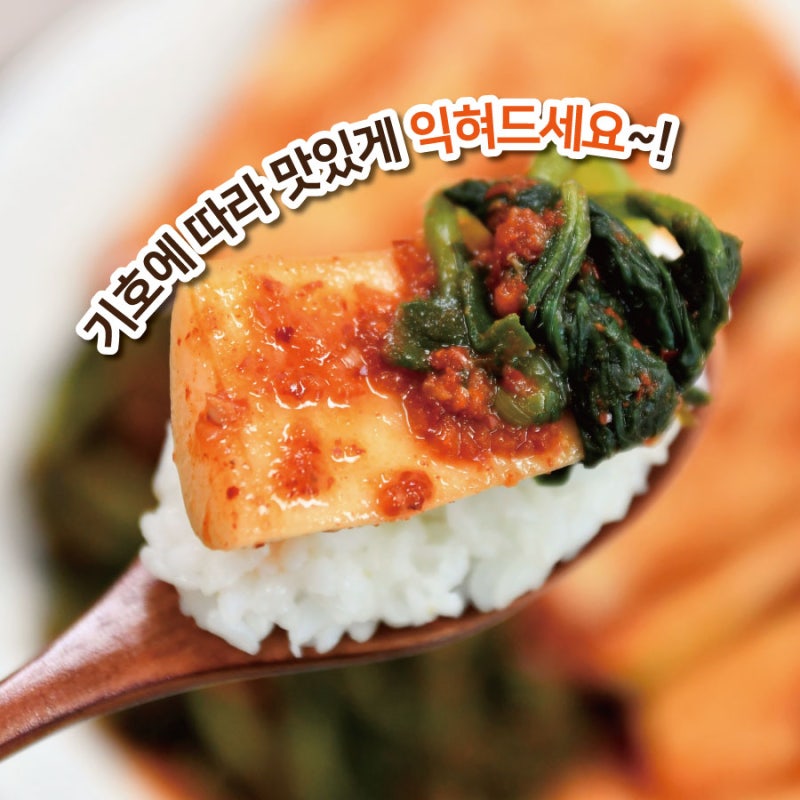강원도 고랭지 알타리무김치 담그는법, 요즘 딱 맛있는 황금레시피와 양념 비법까지 몽땅 알....