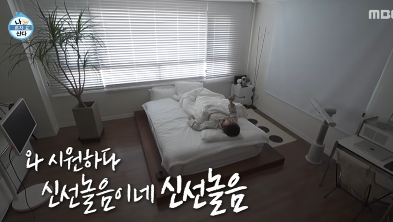 거실 선풍기 선택 기준 2가지, 코드쿤스트가 쓰는 바람 퍼짐 선풍기의 비결
