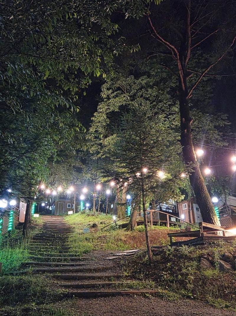 우중 캠핑으로 선택한 춘천숲자연휴양림 글램핑 캠핑장