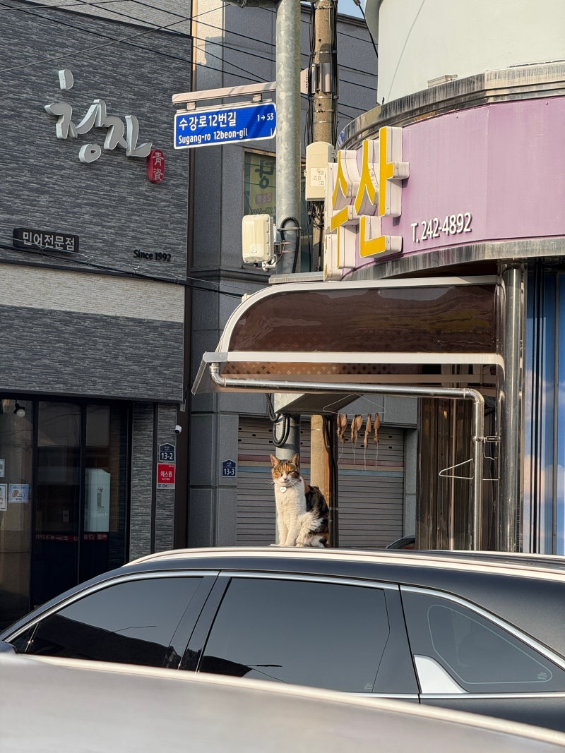 목포여행 목포역 백반 이모식당 반찬 한상, 바지락탕 가성비 후기