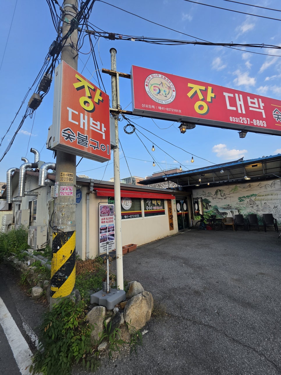 돼생이 사진 1