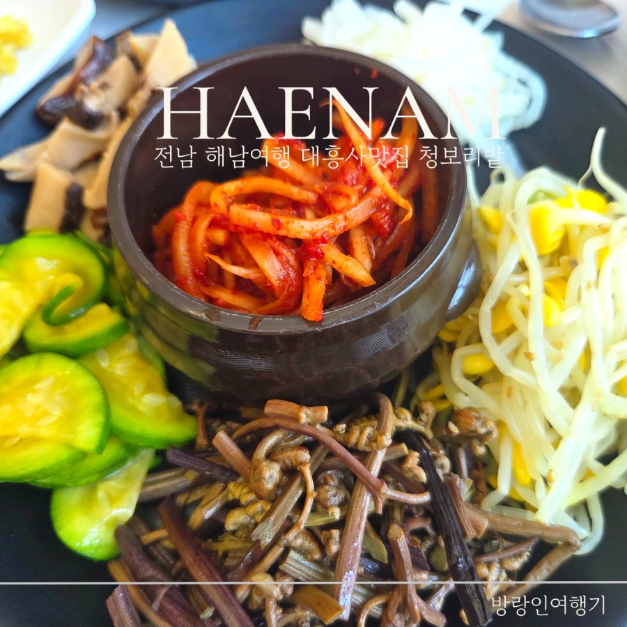 청보리밭 사진 1