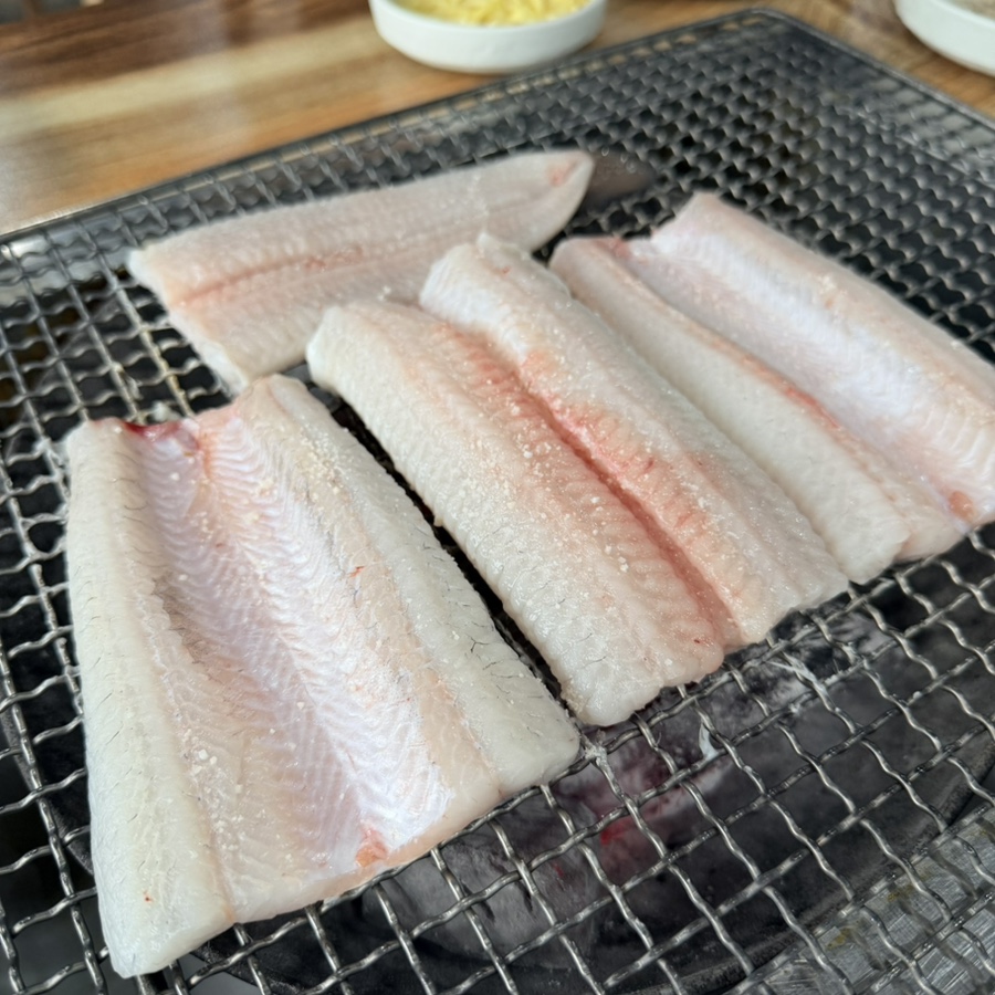 싱싱장어 사진 6