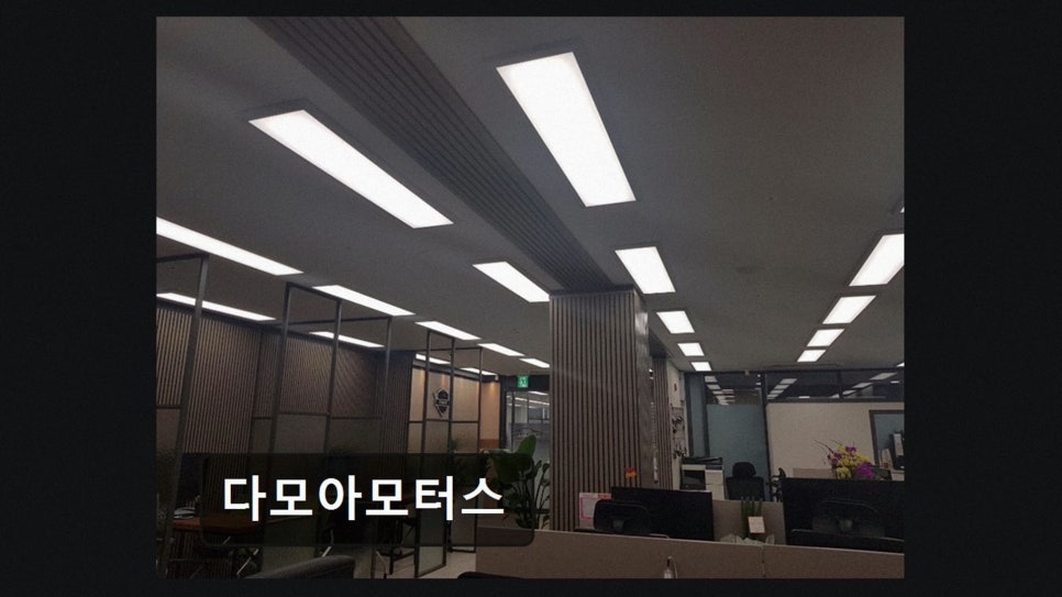 다모아 사진 2