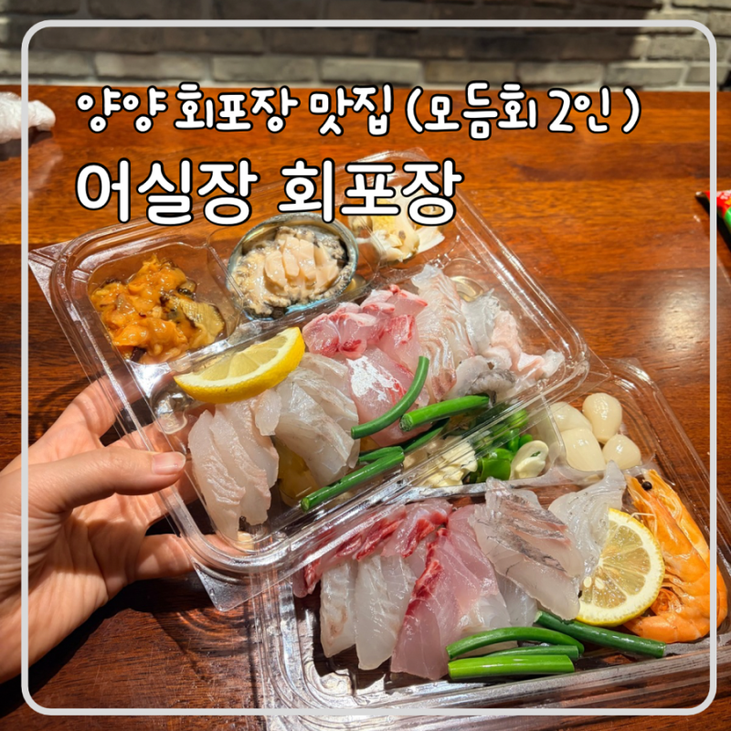 양양 어실장 회포장 모듬회 2인 야식추천 양양솔비치 근처 맛집
