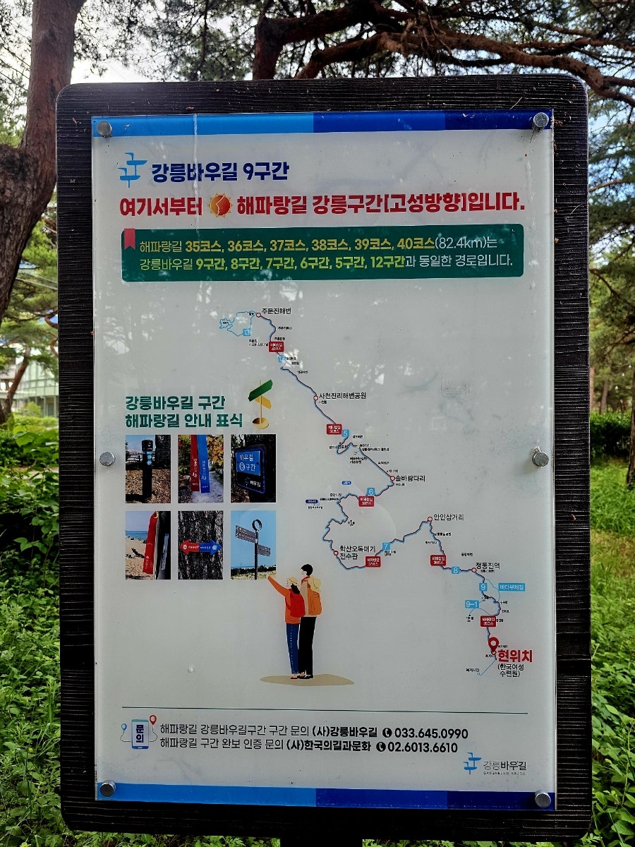 바우길 9구간(헌화로산책길) 사진 2