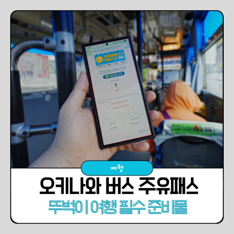 오키나와 뚜벅이 여행 필수 버스 타는법 주유패스