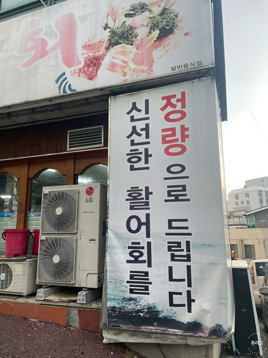등대활어회 사진 3