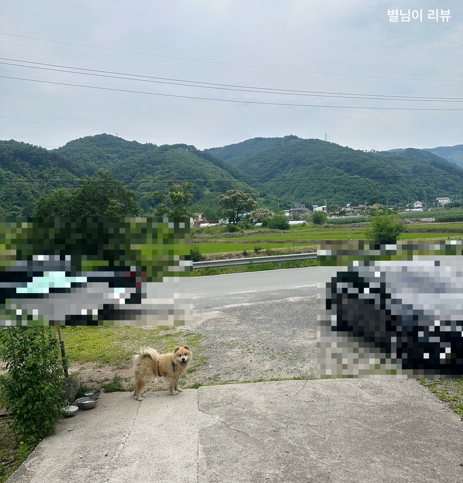 별장한방토종닭 사진 3