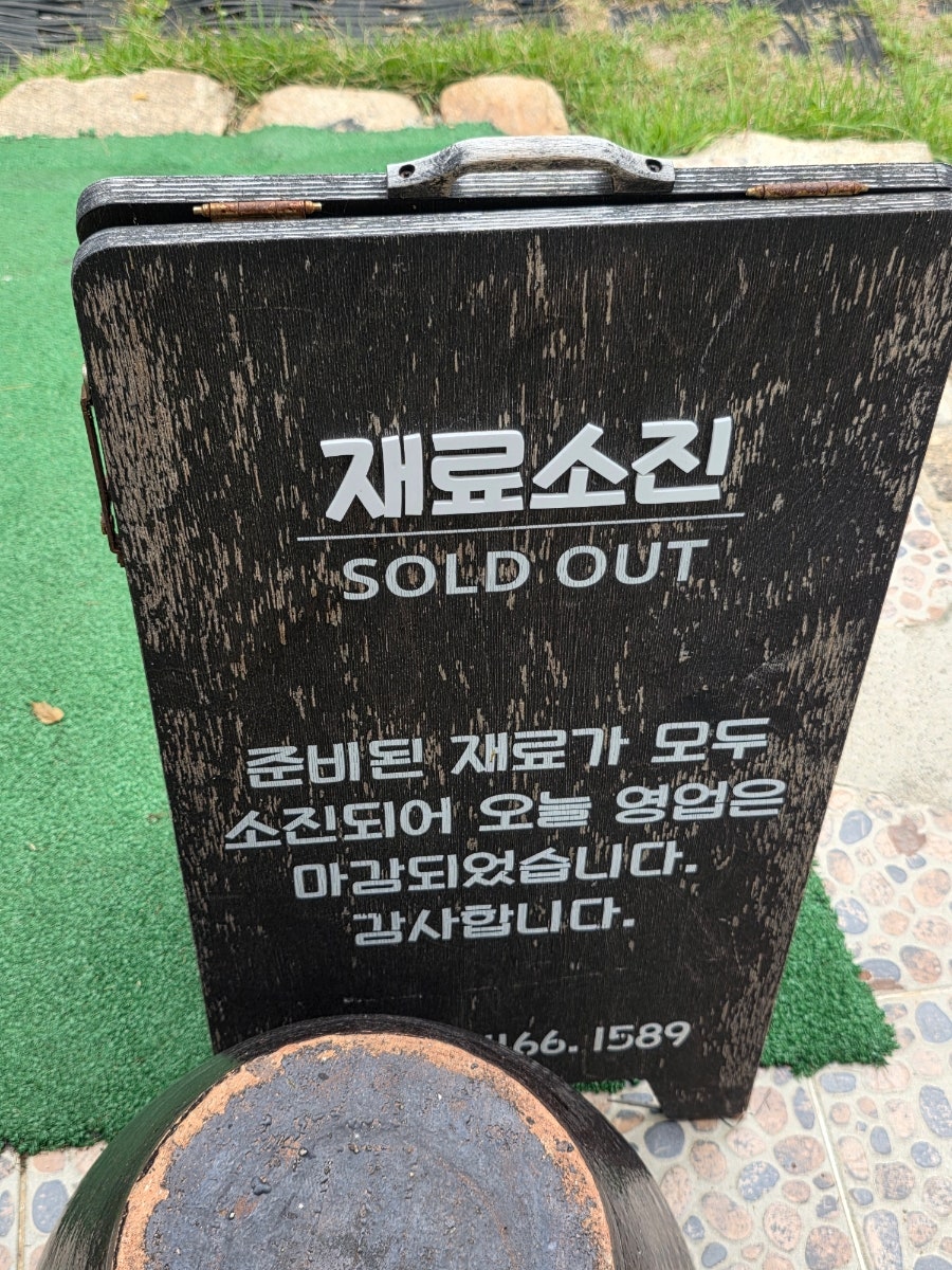 금강참붕어 사진 3