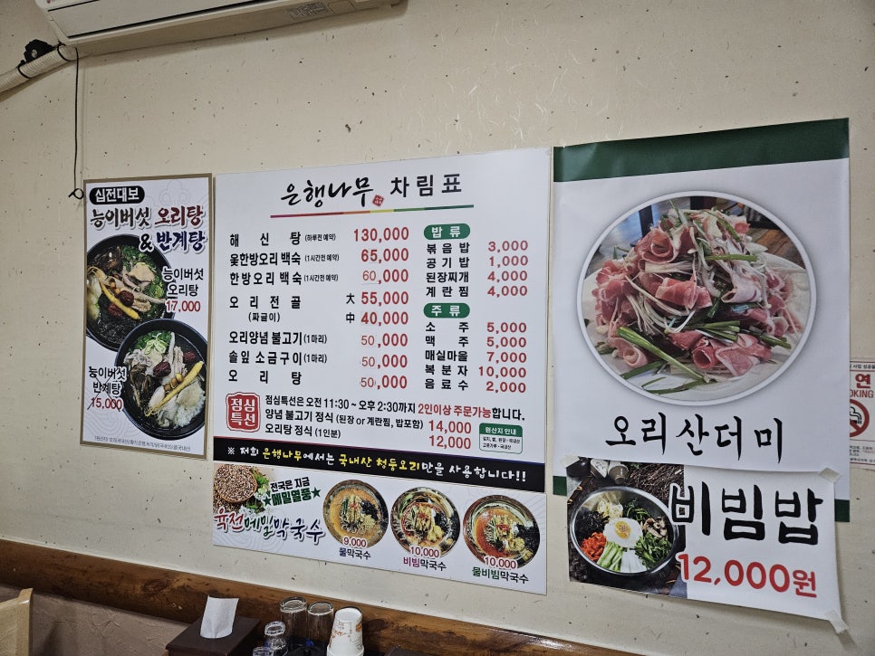 은행나무집 사진 5